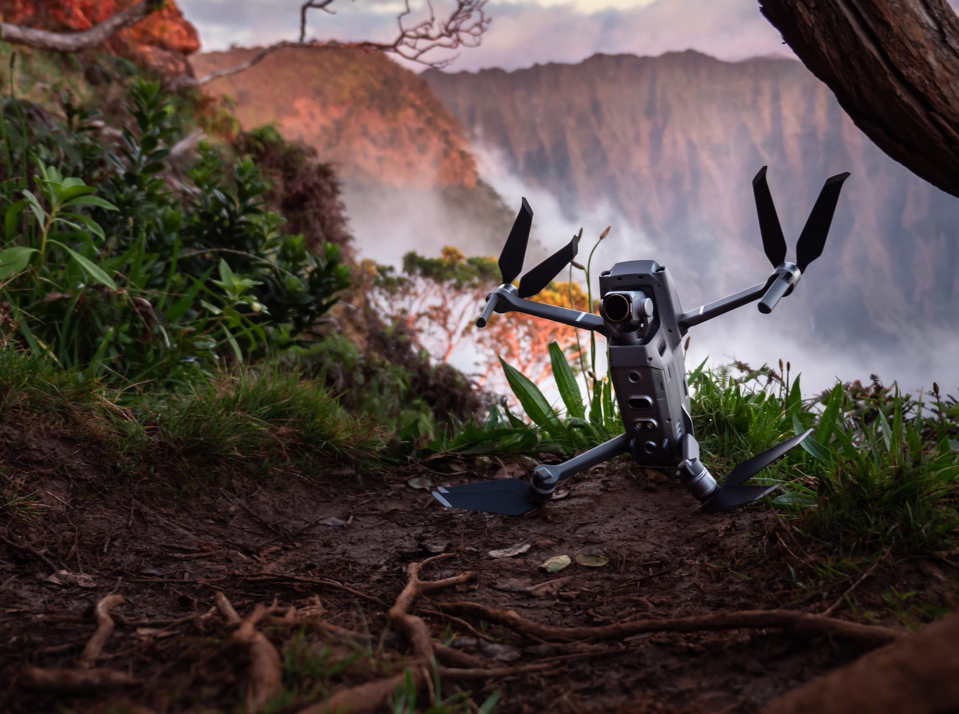 Fliegende Roboter Drone läuft auf Waldboden mit nebeliger Schlucht im Hintergrund